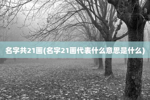 名字共21画(名字21画代表什么意思是什么)