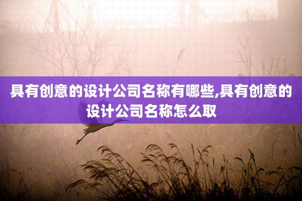 具有创意的设计公司名称有哪些,具有创意的设计公司名称怎么取