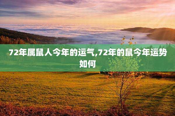 72年属鼠人今年的运气,72年的鼠今年运势如何