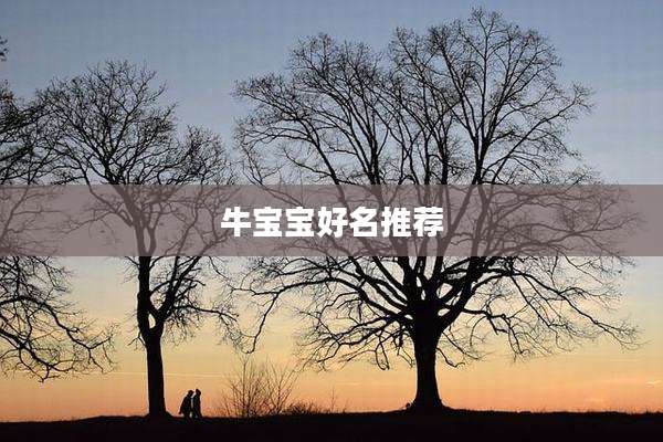 牛宝宝好名推荐