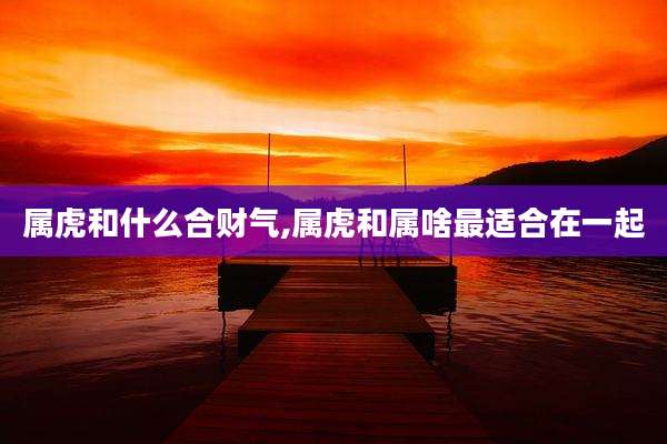 属虎和什么合财气,属虎和属啥最适合在一起