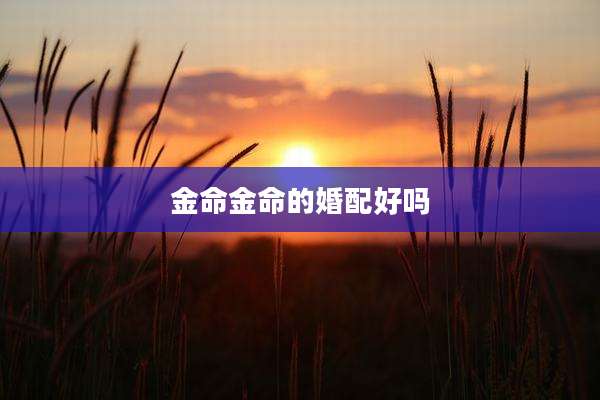 金命金命的婚配好吗