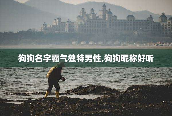 狗狗名字霸气独特男性,狗狗昵称好听