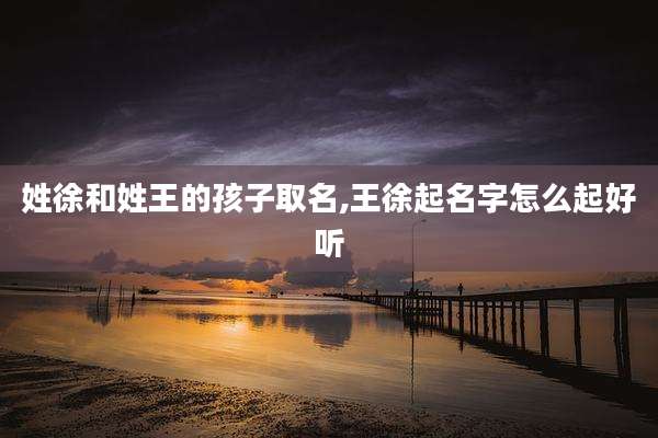 姓徐和姓王的孩子取名,王徐起名字怎么起好听