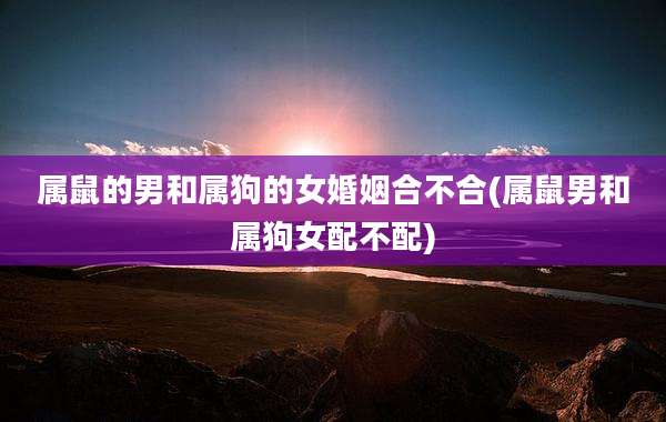 属鼠的男和属狗的女婚姻合不合(属鼠男和属狗女配不配)
