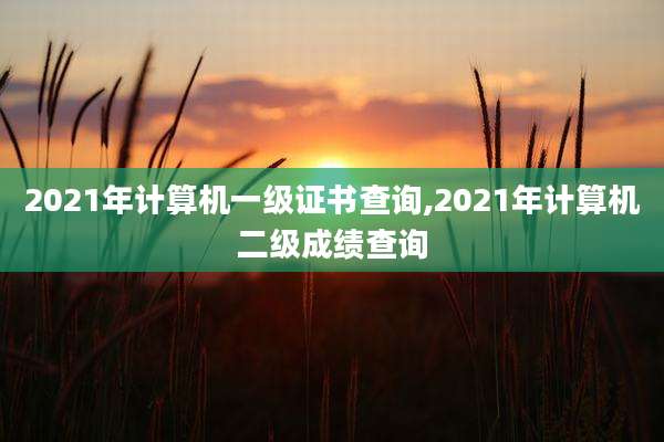2021年计算机一级证书查询,2021年计算机二级成绩查询