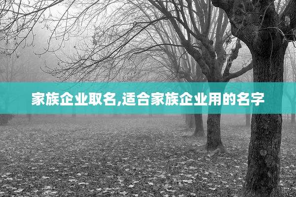 家族企业取名,适合家族企业用的名字