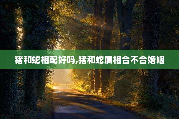 猪和蛇相配好吗,猪和蛇属相合不合婚姻