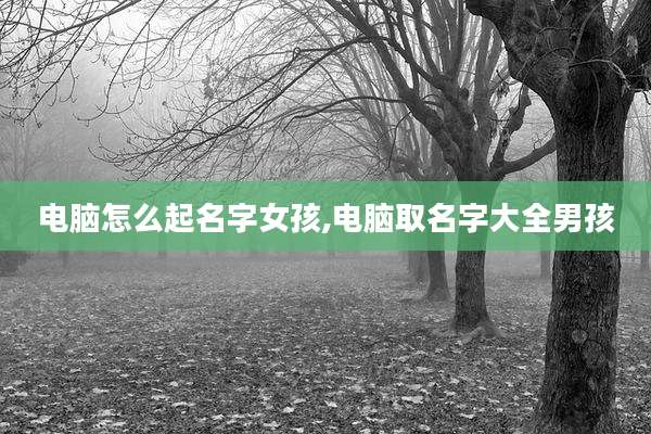电脑怎么起名字女孩,电脑取名字大全男孩