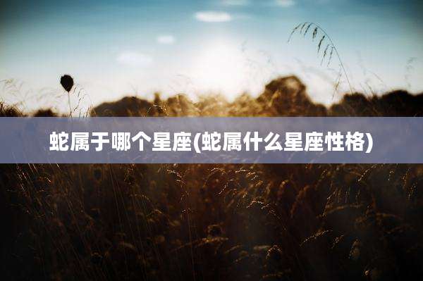 蛇属于哪个星座(蛇属什么星座性格)