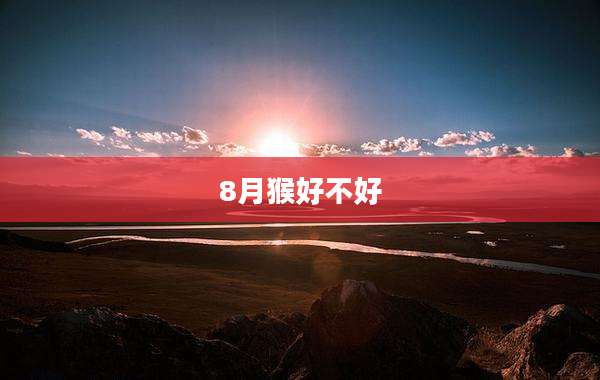 8月猴好不好