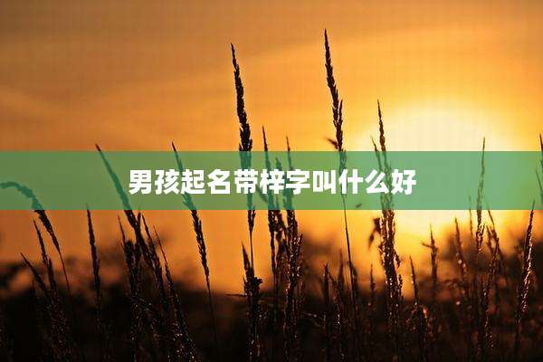 男孩起名带梓字叫什么好