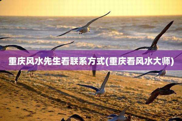 重庆风水先生看联系方式(重庆看风水大师)