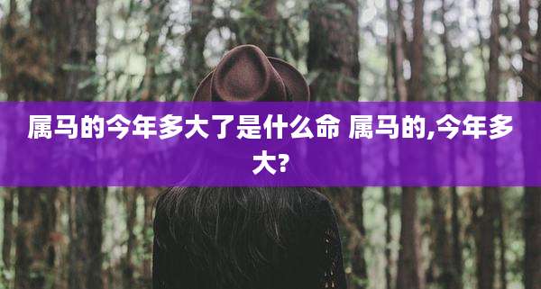属马的今年多大了是什么命 属马的,今年多大?