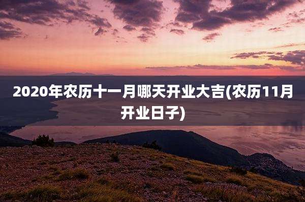 2020年农历十一月哪天开业大吉(农历11月开业日子)