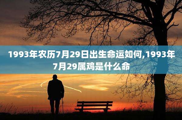 1993年农历7月29日出生命运如何,1993年7月29属鸡是什么命