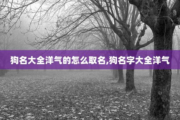 狗名大全洋气的怎么取名,狗名字大全洋气