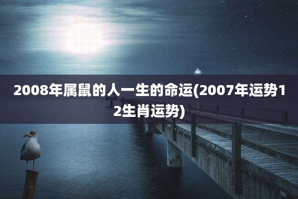 2008年属鼠的人一生的命运(2007年运势12生肖运势)