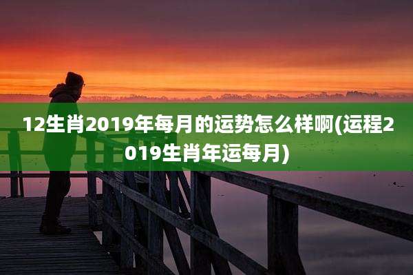 12生肖2019年每月的运势怎么样啊(运程2019生肖年运每月)