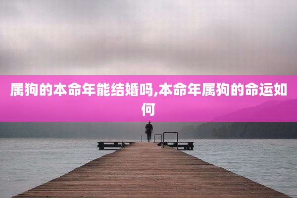 属狗的本命年能结婚吗,本命年属狗的命运如何