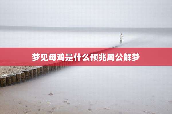 梦见母鸡是什么预兆周公解梦