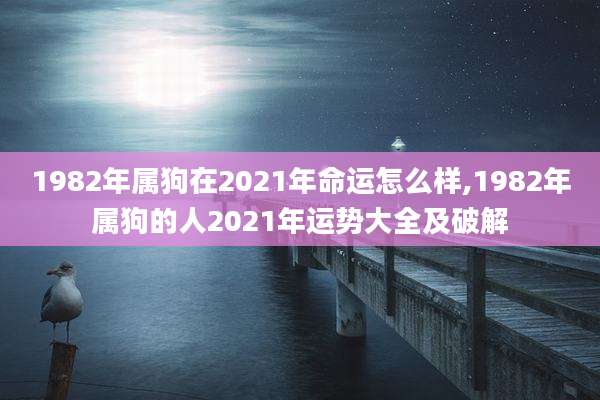 1982年属狗在2021年命运怎么样,1982年属狗的人2021年运势大全及破解