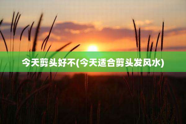 今天剪头好不(今天适合剪头发风水)