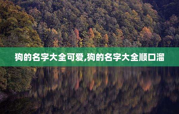 狗的名字大全可爱,狗的名字大全顺口溜