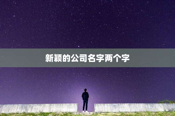 新颖的公司名字两个字