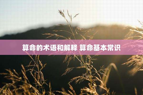 算命的术语和解释 算命基本常识