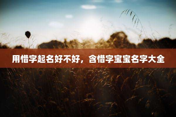 用惜字起名好不好,含惜字宝宝名字大全