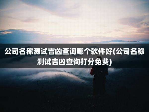 公司名称测试吉凶查询哪个软件好(公司名称测试吉凶查询打分免费)