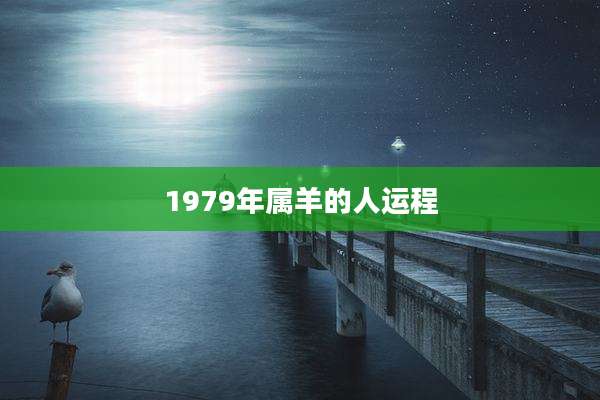 1979年属羊的人运程