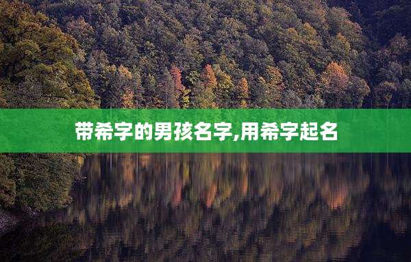 带希字的男孩名字,用希字起名