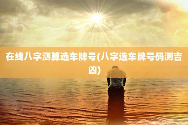 在线八字测算选车牌号(八字选车牌号码测吉凶)