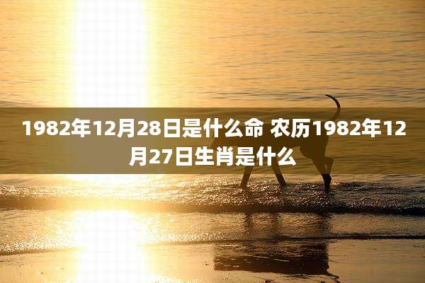 1982年12月28日是什么命 农历1982年12月27日生肖是什么