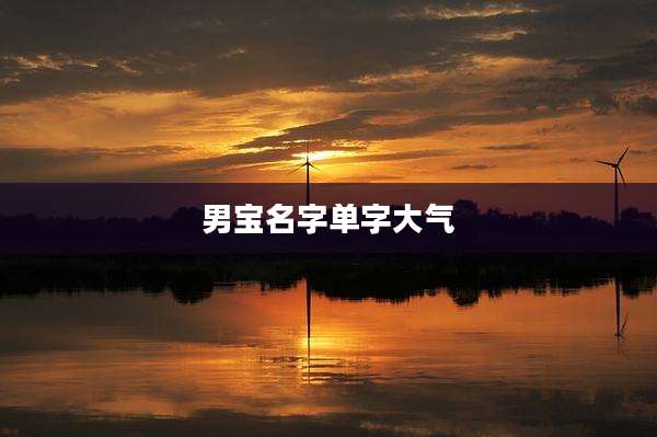 男宝名字单字大气