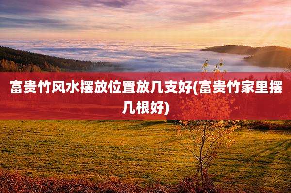 富贵竹风水摆放位置放几支好(富贵竹家里摆几根好)
