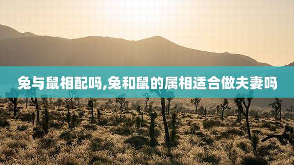 兔与鼠相配吗,兔和鼠的属相适合做夫妻吗