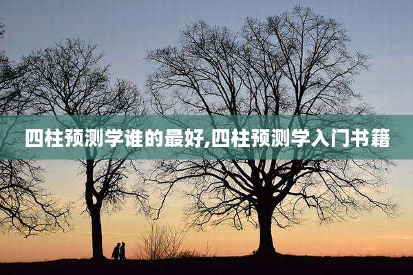 四柱预测学谁的最好,四柱预测学入门书籍