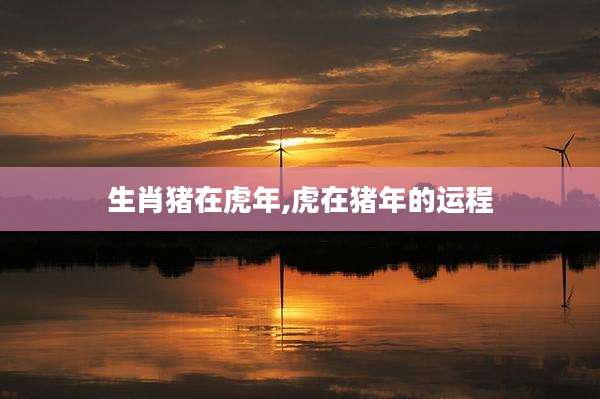 生肖猪在虎年,虎在猪年的运程
