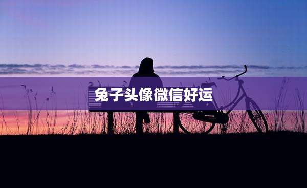 兔子头像微信好运