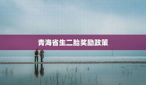 青海省生二胎奖励政策