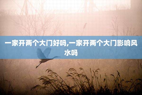一家开两个大门好吗,一家开两个大门影响风水吗