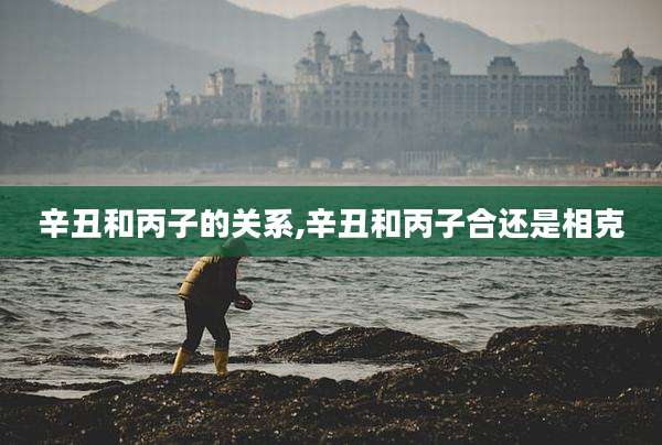 辛丑和丙子的关系,辛丑和丙子合还是相克