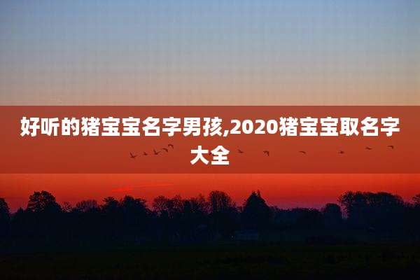 好听的猪宝宝名字男孩,2020猪宝宝取名字大全