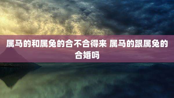 属马的和属兔的合不合得来 属马的跟属兔的合婚吗