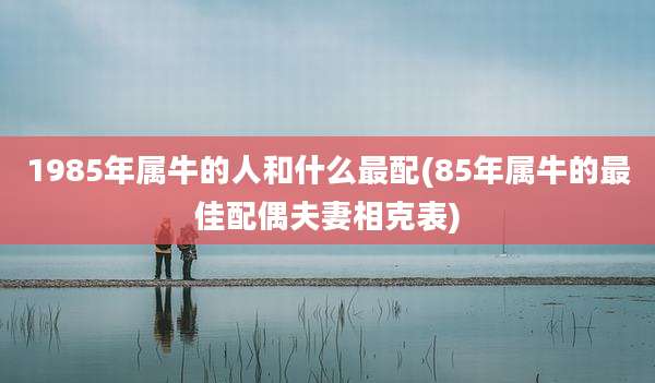 1985年属牛的人和什么最配(85年属牛的最佳配偶夫妻相克表)
