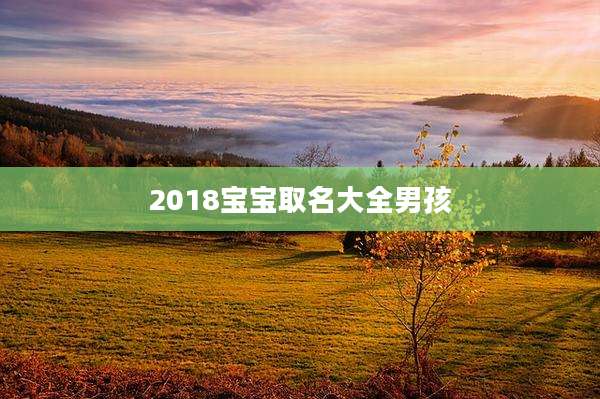 2018宝宝取名大全男孩
