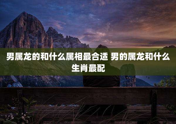 男属龙的和什么属相最合适 男的属龙和什么生肖最配